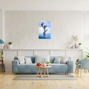 Athena 16×24 Canvas Print