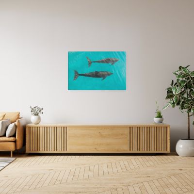 Twin Souls 24×36 Canvas Print