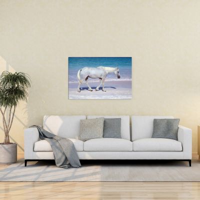 Pink Sand Prince 24×36 Canvas Print