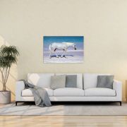 Pink Sand Prince 24×36 Canvas Print