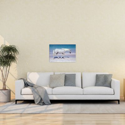 Pink Sand Prince 16×24 Canvas Print