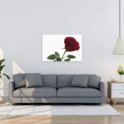 The Lovers Rose 24×36 Canvas Print