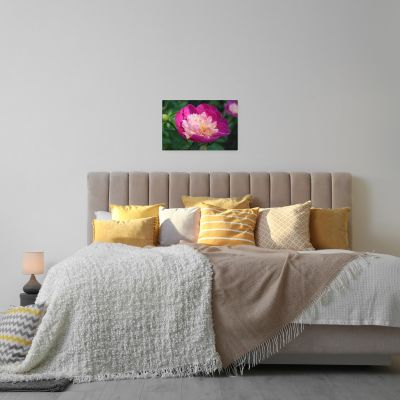 The Birth of Love 16×24 Canvas Print