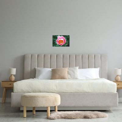 Sunrise in a Cup 16×24 Canvas Print