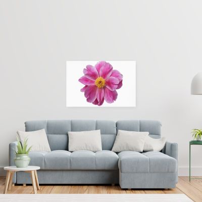 Pink Reverie 24×36 Canvas Print