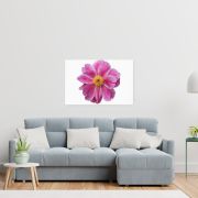 Pink Reverie 24×36 Canvas Print