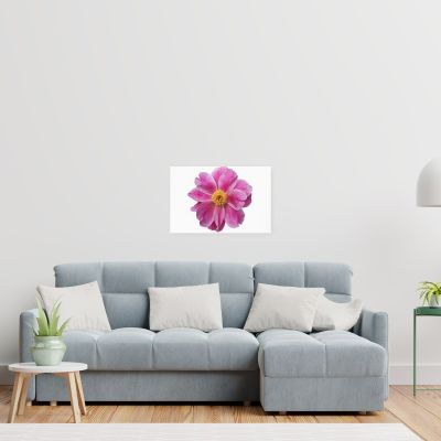 Pink Reverie 16×24 Canvas Print