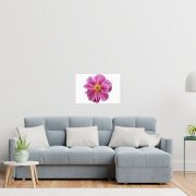 Pink Reverie 16×24 Canvas Print