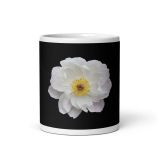 white-glossy-mug-white-11-oz-front-view-6a9f56e76ef0b.jpg
