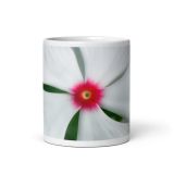 white-glossy-mug-white-11-oz-front-view-6a9f5aa55e8f3.jpg