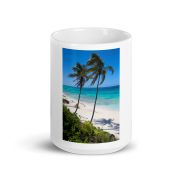 Secret Paradise White Glossy Mug